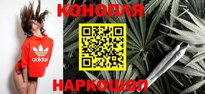 сатива Краснокаменск